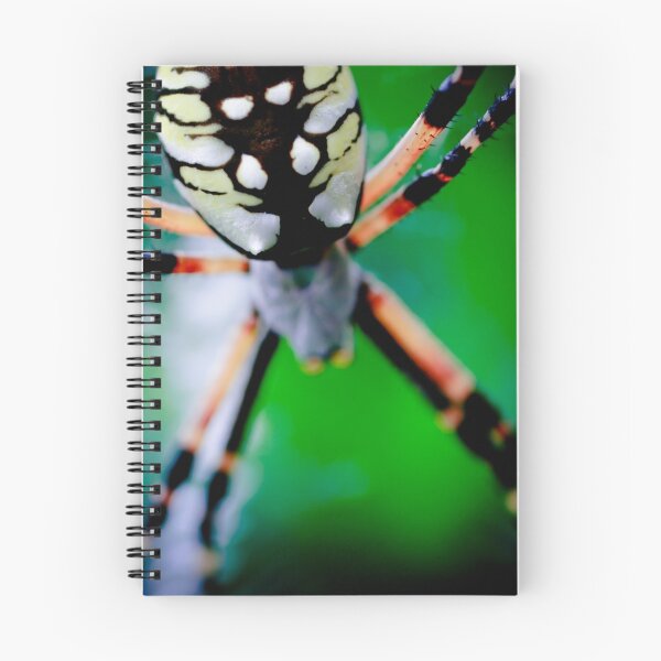 Aperçu de l'œuvre Writing Spider #5 créée et vendue par Chris Summerville.
