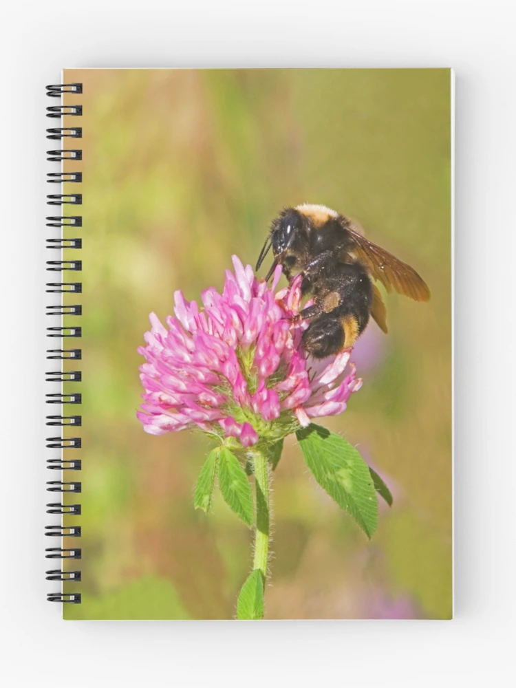 Thumbnail 1 of 3, Journal, Bumble Bee designed and sold by Randall Ingalls.