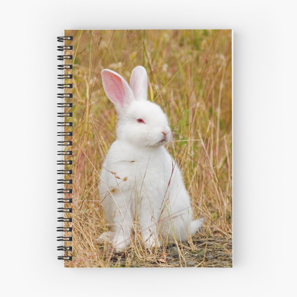 Item preview, Spiral Notebook designed and sold by Rando.