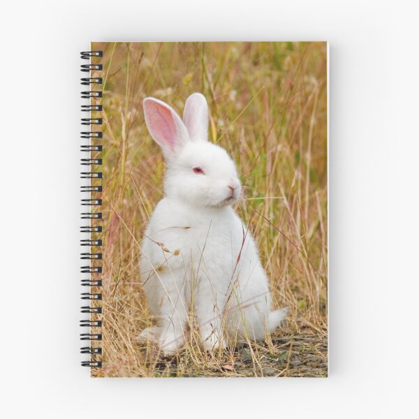 Item preview, Bunny Rabbit designed and sold by Randall Ingalls.