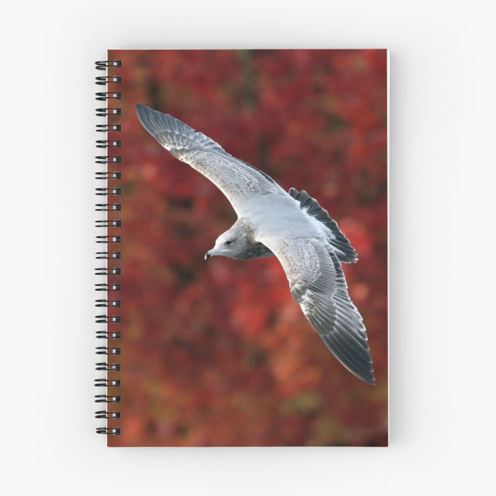 Item preview, Spiral Notebook designed and sold by Rando.