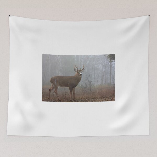 Item preview, White-tailed deer in the rut designed and sold by James Cumming.