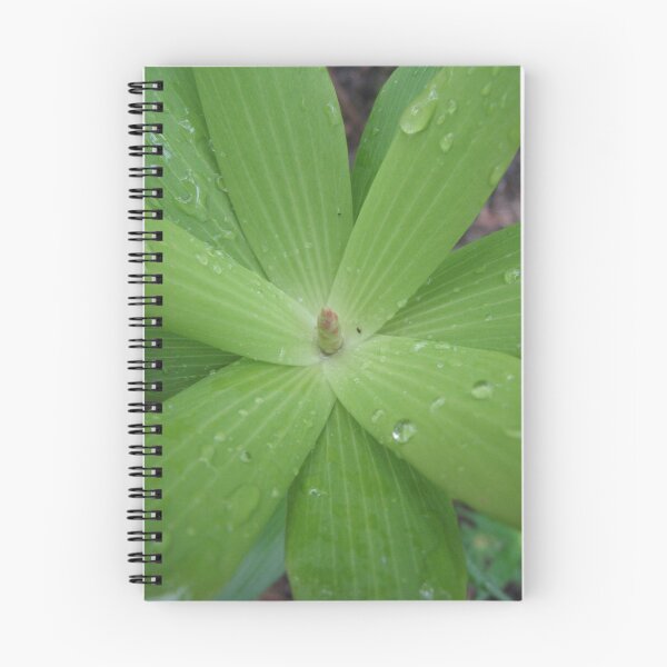 Item preview, Denmark - Spa designed and sold by Solveig Winn.