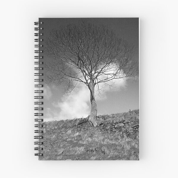Item preview, Lonesome tree - Mixenden, Halifax, UK designed and sold by Andy Beattie.
