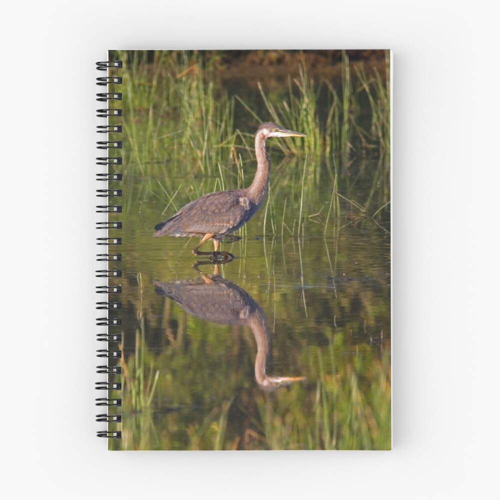 Item preview, Spiral Notebook designed and sold by Rando.