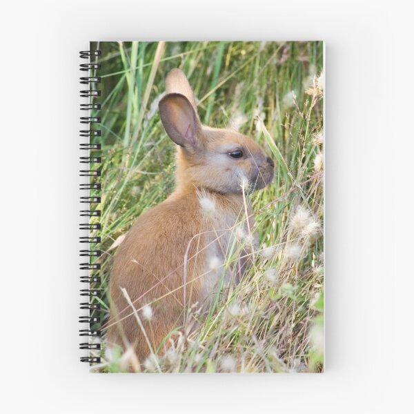 Item preview, Little Bunny designed and sold by Randall Ingalls.