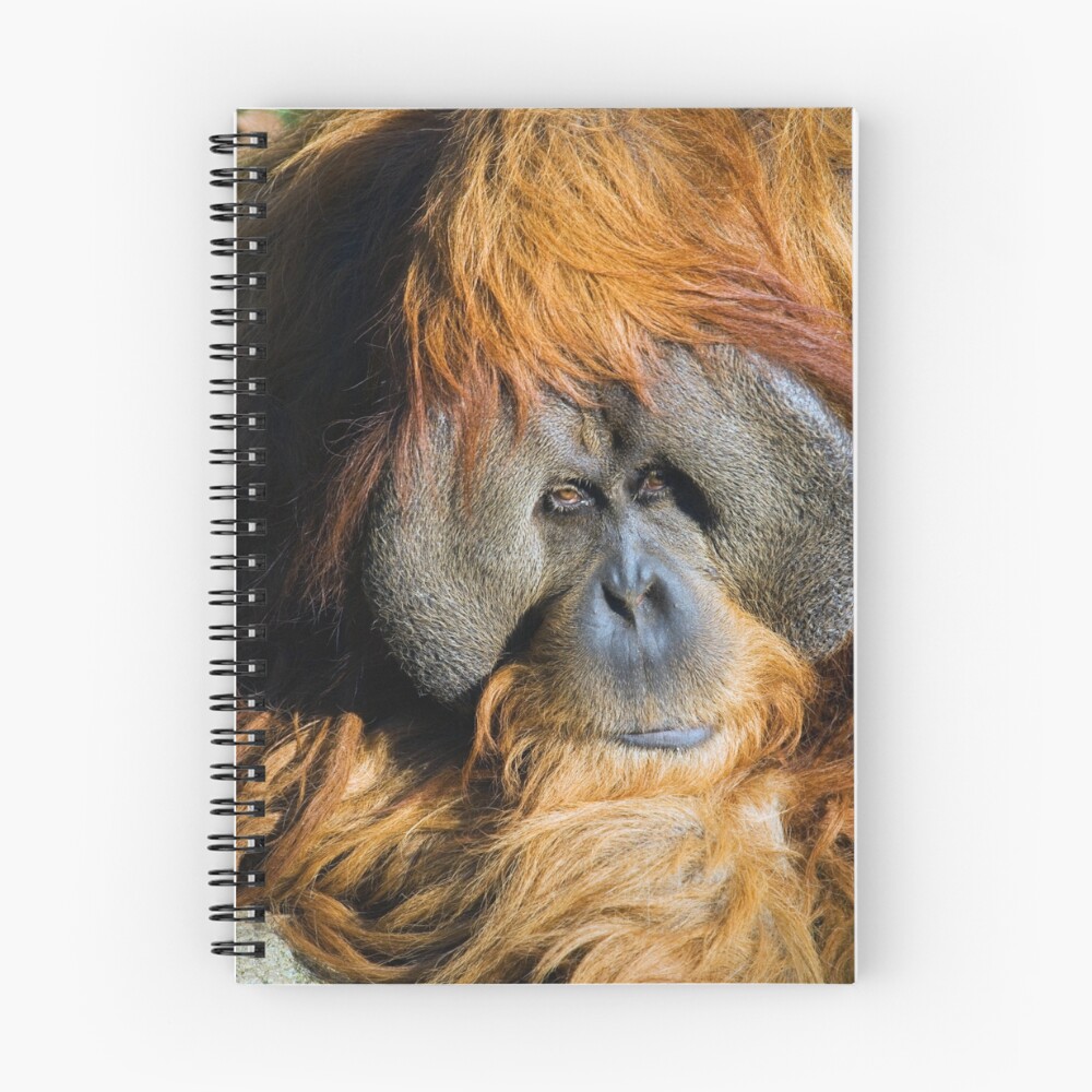 Item preview, Spiral Notebook designed and sold by Rando.