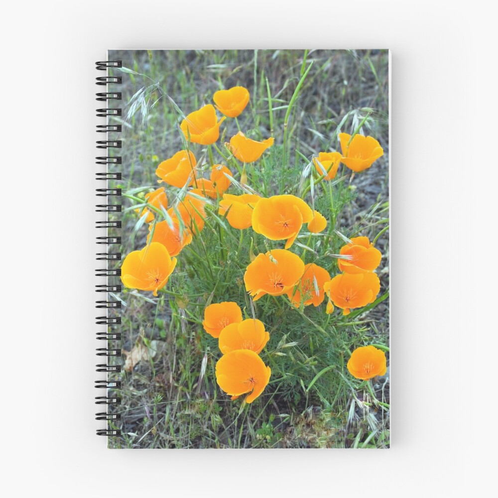Item preview, Spiral Notebook designed and sold by Rando.