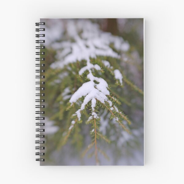 Artikelvorschau, Snowy Fir Bough entworfen und verkauft von C David Cook.