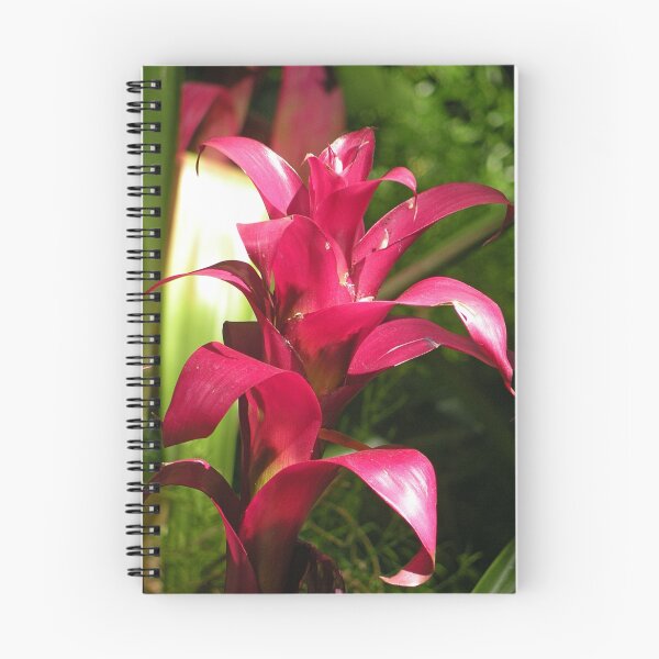 Item preview, Bromeliad designed and sold by starbucksgirl26.