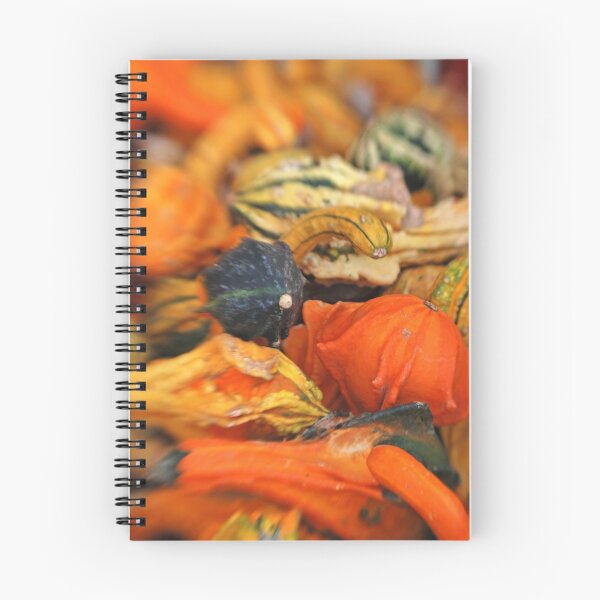 Aperçu de l'œuvre Outta my Gourd créée et vendue par C David Cook.