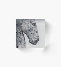 The Kelpies Sculpture in Falkirk Scotland Acrylic Block