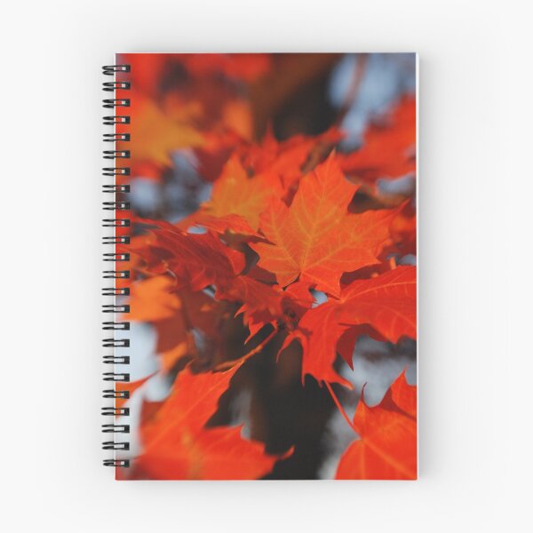 Artikelvorschau, Maple Leaves too entworfen und verkauft von C David Cook.