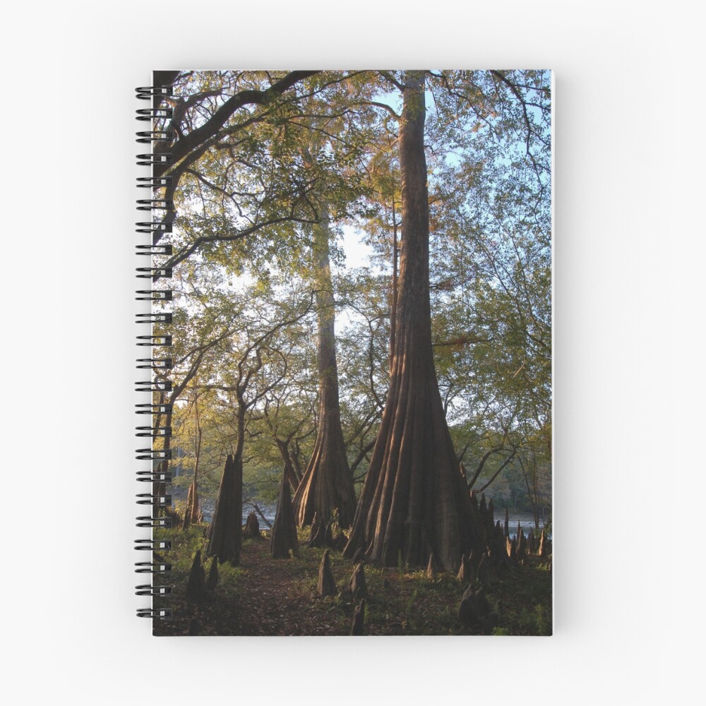 Item preview, Spiral Notebook designed and sold by dbosco.