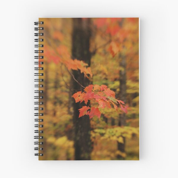 Item preview, Roan Mt Maple leaves designed and sold by C David Cook.