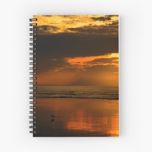 Item preview, "Pied Stilt at Sunset ..." designed and sold by Rosehaven.