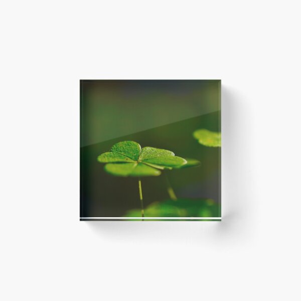 Item preview, Luck of the Irish  designed and sold by Helen  Kelly.