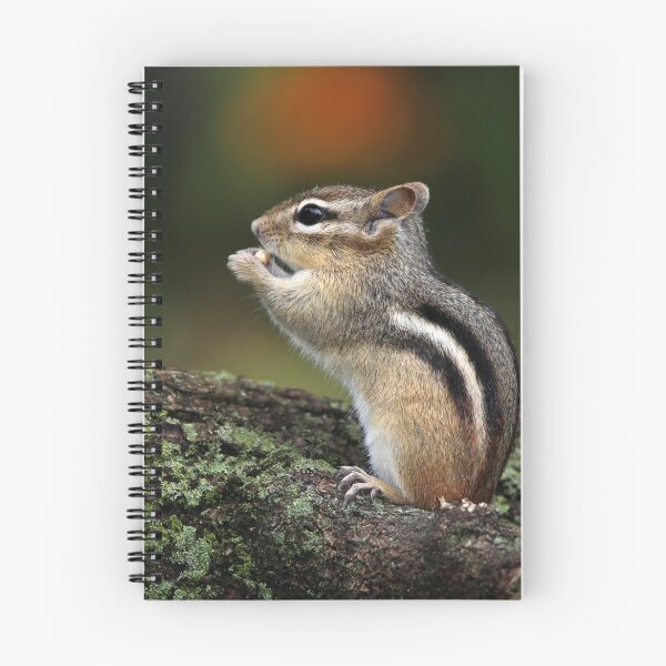 Item preview, 375x360 designed and sold by Gary Fairhead.