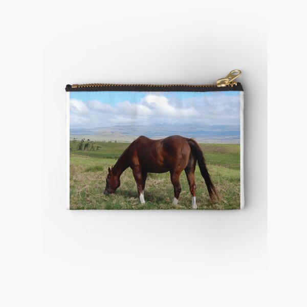 Aperçu de l'œuvre Grazing in the pasture créée et vendue par photosbypamela.