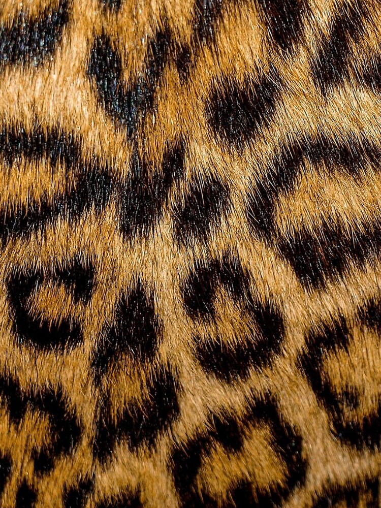 Imagen 5 de 5, Funda de iPhone con la obra Leopard Print, diseñada y vendida por randomsof.