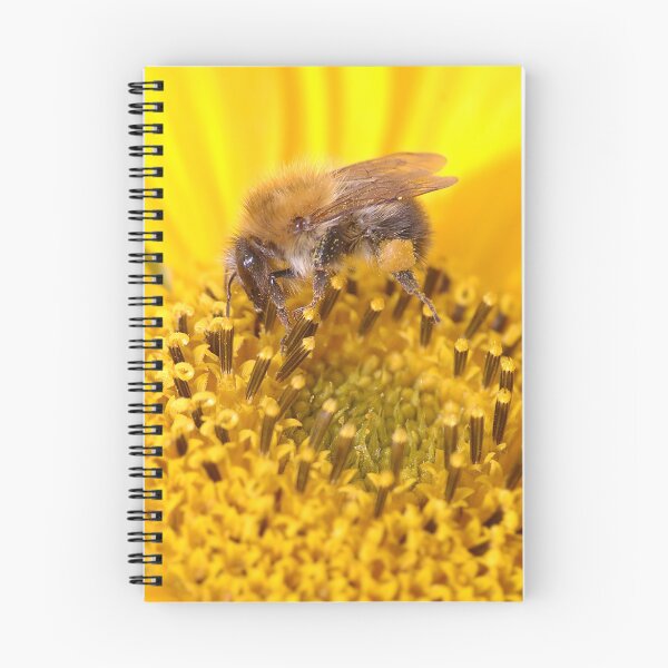 Item preview, making honey  designed and sold by Declan Carr.