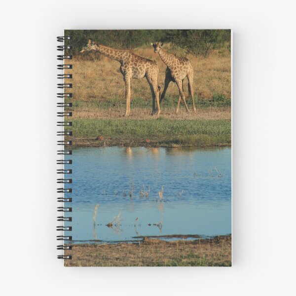 Item preview, Giraffes designed and sold by dgoldman.