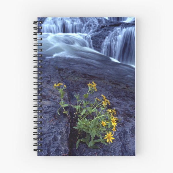 Item preview, Bloom Where You're Planted designed and sold by imager1.