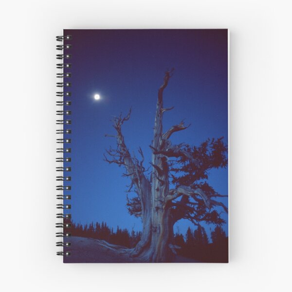 Item preview, Bristlecone Pine and Moon designed and sold by imager1.