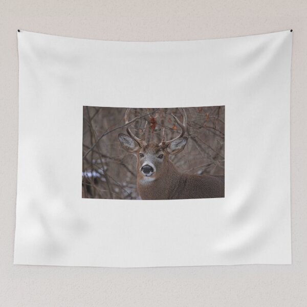 Item preview, White-tailed deer in winter designed and sold by James Cumming.