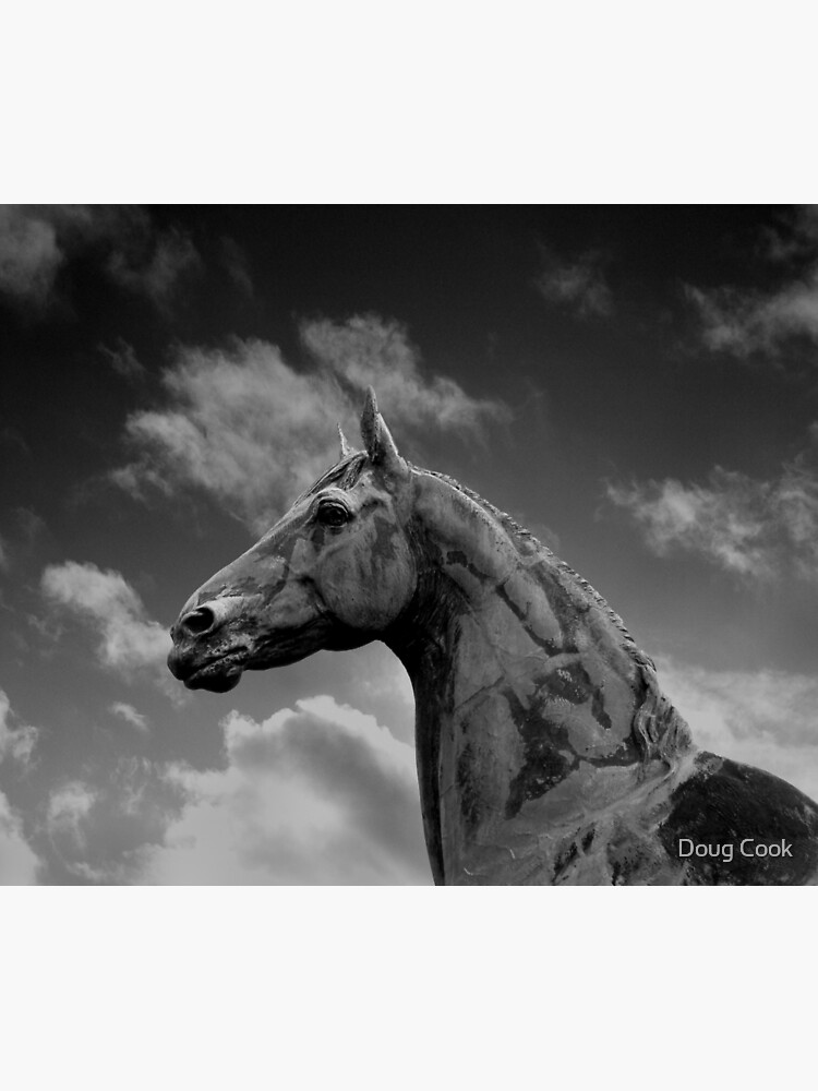 King Tom by DougCook