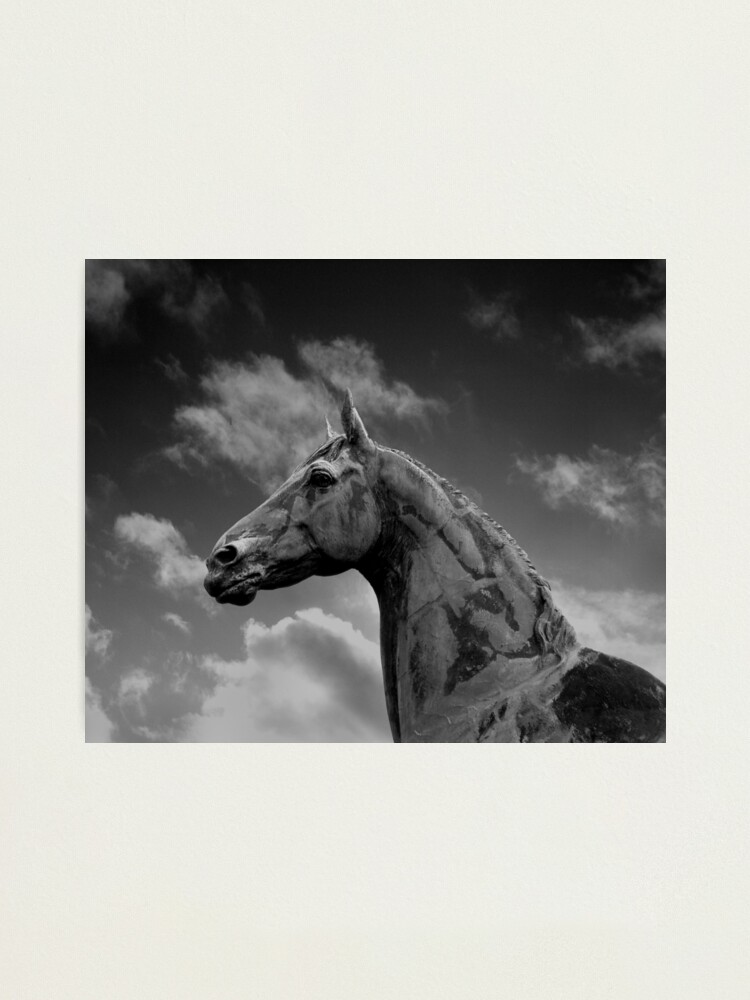Alternate view of King Tom Photographic Print