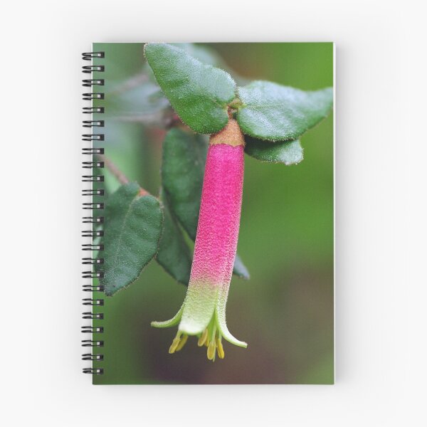 Item preview, Correa reflexa designed and sold by Cheryl Ribeiro.