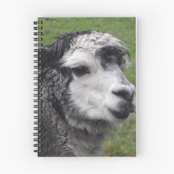 Artikelvorschau, portrait of alpaca - bad hair day! entworfen und verkauft von Gaylene Norton.