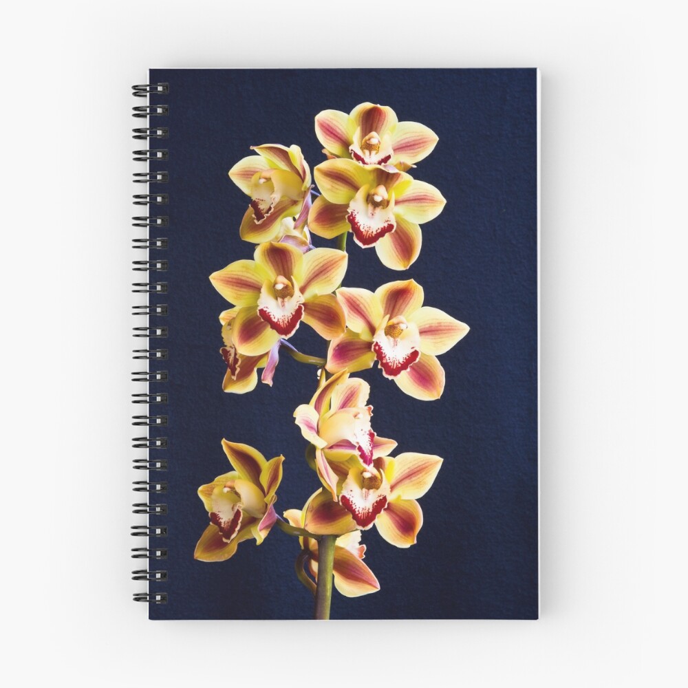 Item preview, Spiral Notebook designed and sold by DavidLPiko.