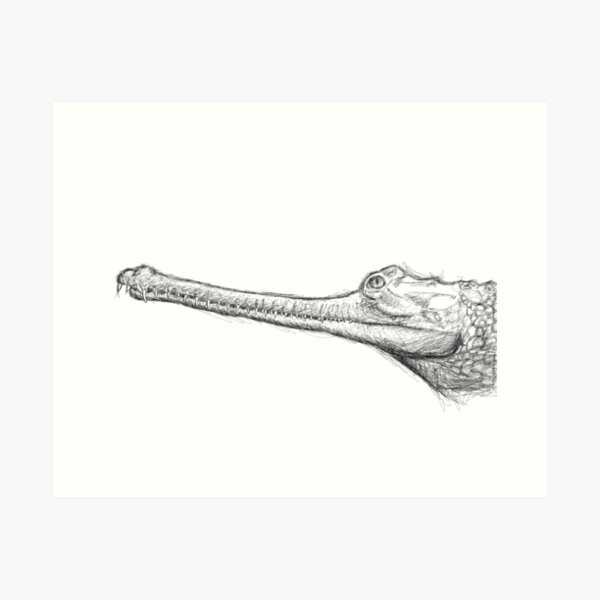 Item preview, Gharial, the fish-eating crocodile designed and sold by ohmysheep.