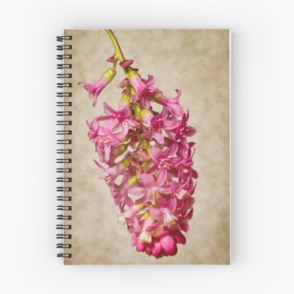 Item preview, Flowering Currant designed and sold by Chris Cobern.