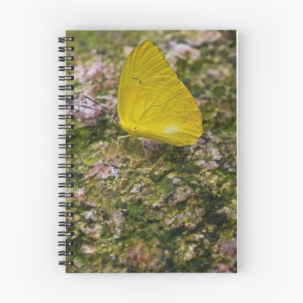 Item preview, Feeling Simple designed and sold by Adam Bykowski.