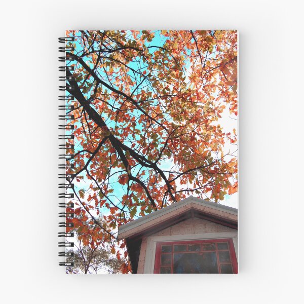 Item preview, the window in the tree designed and sold by Naia.