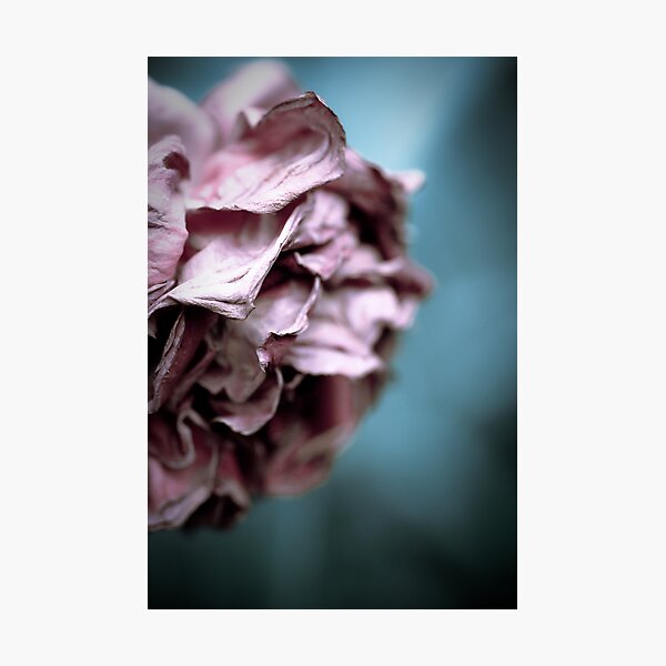 ...there came a time when it all became clear... Photographic Print