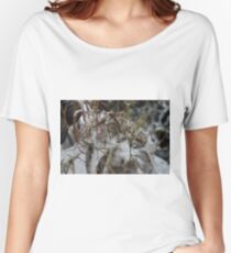 #winter #nature #snow #frost #outdoors #icee #cold #wood #season #bird #tree #frozen #dry #garden #grass #weather #horizontal #colorimage #nopeople #closeup #plant #day #animal Women's Relaxed Fit T-Shirt