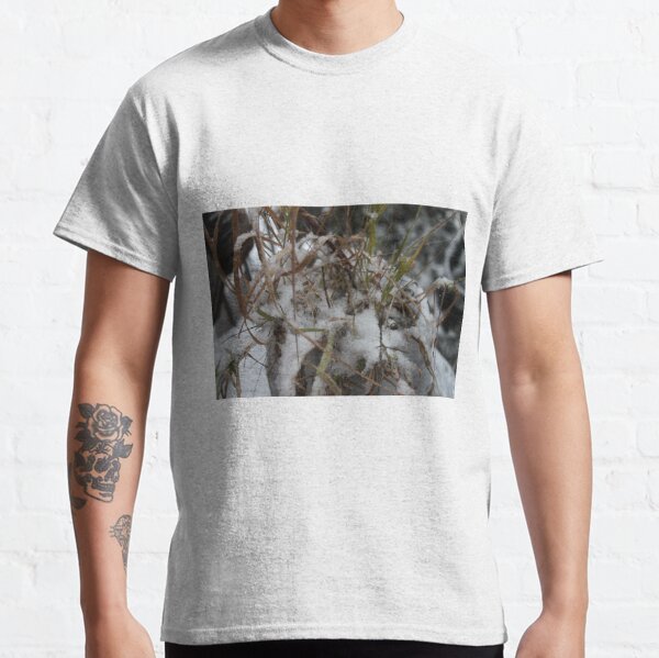 #winter #nature #snow #frost #outdoors #icee #cold #wood #season #bird #tree #frozen #dry #garden #grass #weather #horizontal #colorimage #nopeople #closeup #plant #day #animal Classic T-Shirt