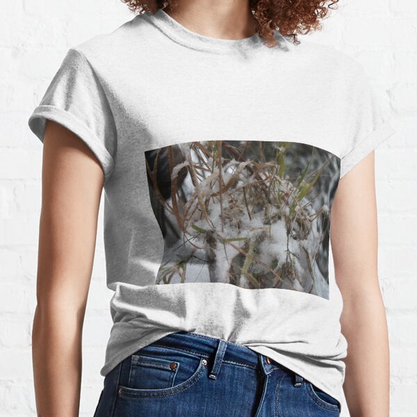 #winter #nature #snow #frost #outdoors #icee #cold #wood #season #bird #tree #frozen #dry #garden #grass #weather #horizontal #colorimage #nopeople #closeup #plant #day #animal Classic T-Shirt