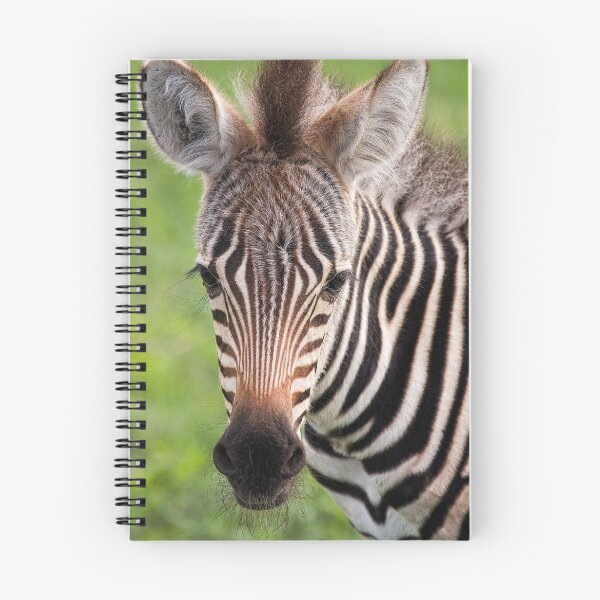 Item preview, Zebra Foal designed and sold by Scott Carr.