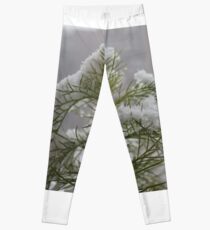 #winter #nature #snow #frost #outdoors #icee #cold #wood #season #bird #tree #frozen #dry #garden #grass #weather #horizontal #colorimage #nopeople #closeup #plant #day #animal Leggings
