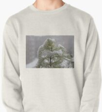 #winter #nature #snow #frost #outdoors #icee #cold #wood #season #bird #tree #frozen #dry #garden #grass #weather #horizontal #colorimage #nopeople #closeup #plant #day #animal Pullover