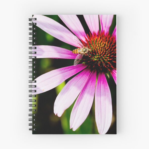 Aperçu de l'œuvre Echinacea créée et vendue par Minna  Waring.
