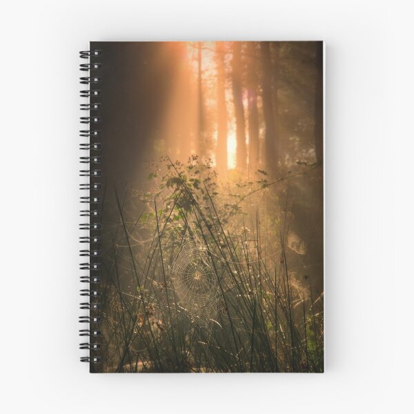 Item preview, Inner Landscapes... Forest floor... designed and sold by David Mould.