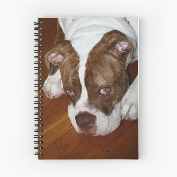 Item preview, Can I Stay? designed and sold by Alexandra Wise-Brogna.