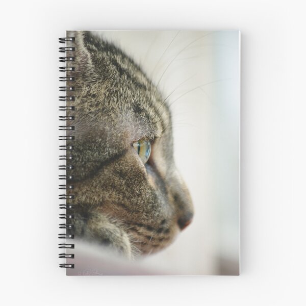 Item preview, Lost in the Moment..... designed and sold by Vicki Pelham.