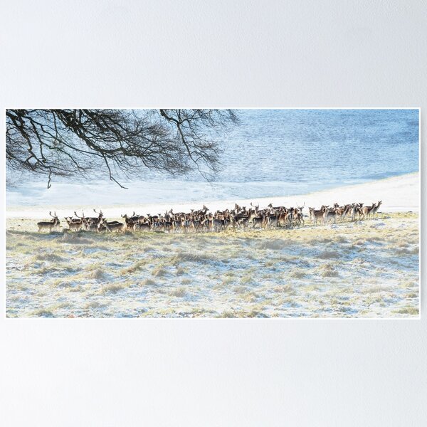 Item preview, Winter Deer Herd designed and sold by ernest123.